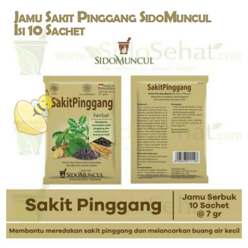 

Jamu Sakit Pinggang SidoMuncul Isi 10 Sachet