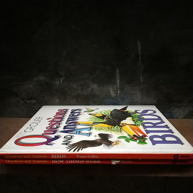

buku how thing work, birds