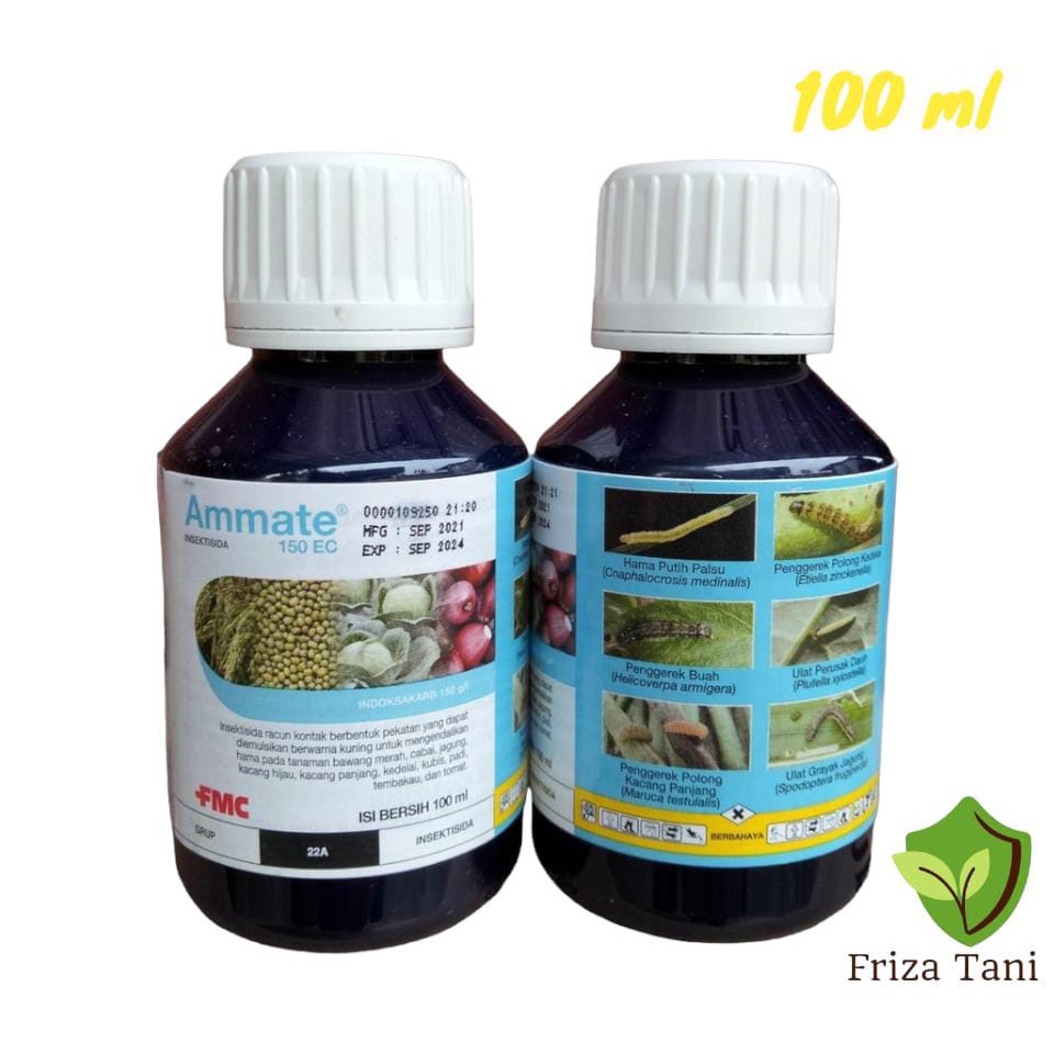 Insektisida Ammate 150ec 100ml Bahan Aktif Indosakarb membasmi hama ulat pada tanaman bawang merah c