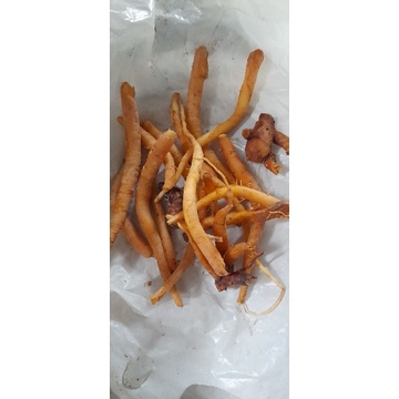 

Temu Kunci Segar 100 gram