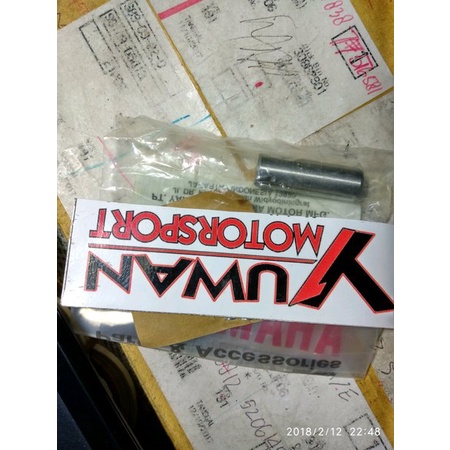 Pen Bering Bambu Gigi Stater Scorpio Barang Langka Stok Terbatas