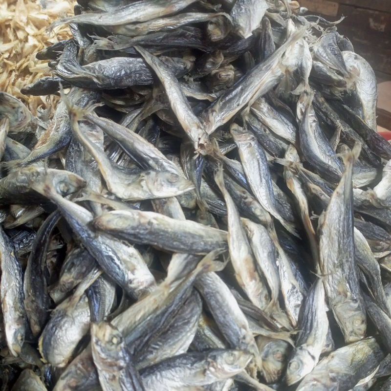 

IKAN ASIN DENCIS MEDAN