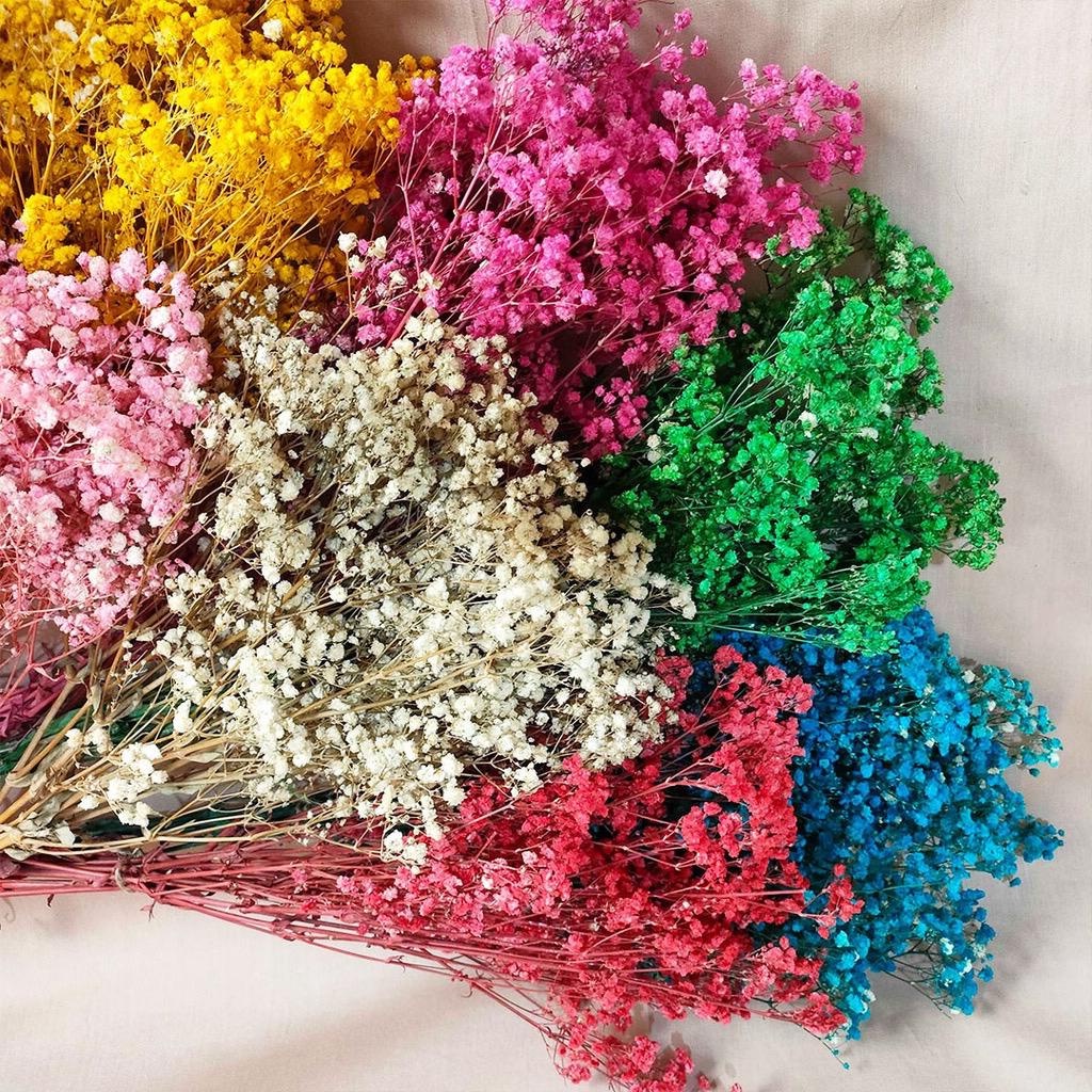 Bunga Baby Breath/ Dried Flower/ Bunga Kering/ Bunga Kering Baby Breath/ Bunga Dekorasi Buket