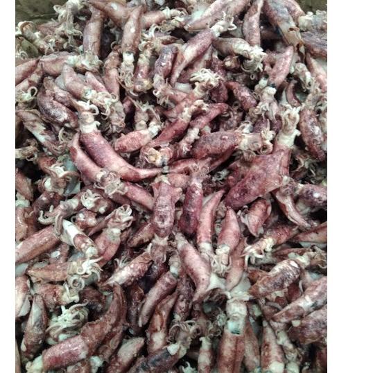 

✸ PROMO Cumi asin kering 1kg/cumi asin murah ☀