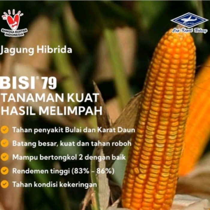 Benih jagung super hibrida F1 bisi 79 kemasan 1 kg