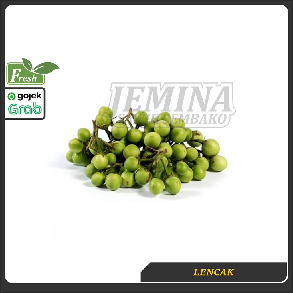 

Leunca Lencak 200g - Sayur Jogja