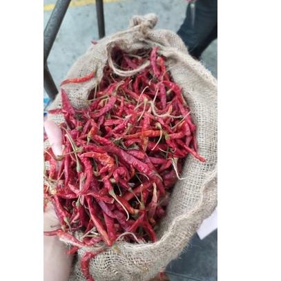 

【Penjualan Terbaik】✅COD cabe rawit kering 500gr / cabe teja kering 500gr