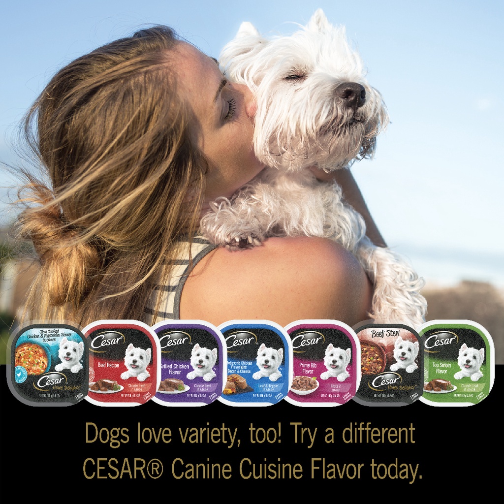 Cesar Dog Wet Food 100GR Makanan Basah Anjing All Varian Beef Lamb Chicken 100G 100 g 100 gr 100gram