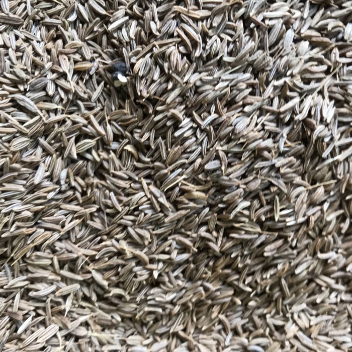 

JINTAN JINTEN BUMBU JEMUJU CARAWAY 500 GRAM PRODUK NYATA AMPUHNYA