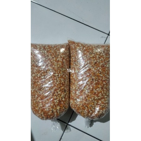 jagung kristal pakan burung merpati/dara