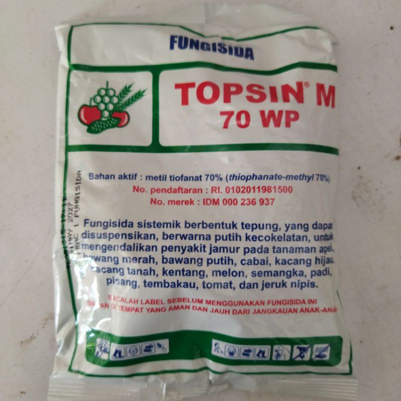 FUNGISIDA TOPSIN 100 GR