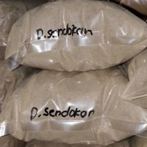 

MURAH BUBUK DAUN SENDOKAN HERBAL 50 GRAM