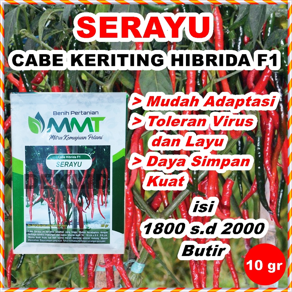 Benih Cabe Merah Keriting CMK Serayu Hibrida F1 10 Gram Bibit Cabai Kriting MMT