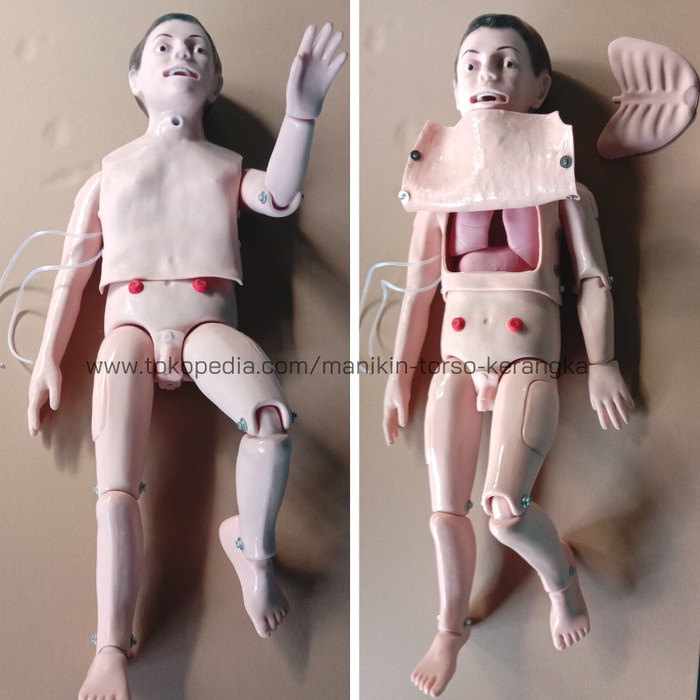 Terlaris Nursing Manikin Full Body Anak Manekin Simulator Full Body Anak