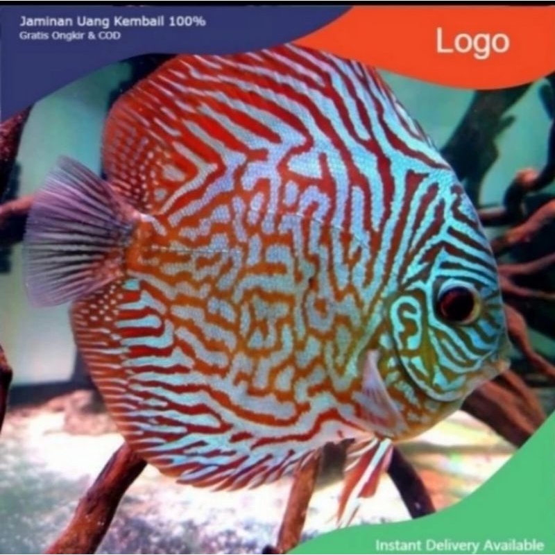 Packing styrofoam ( ikan discus tiger mozaik 1cm )