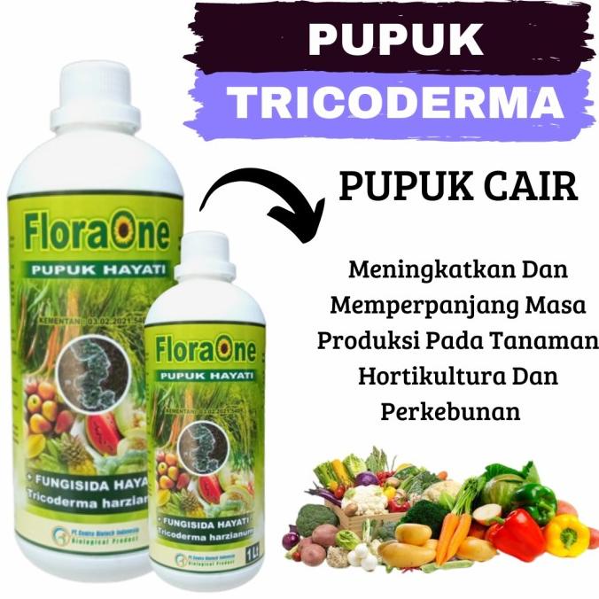 

Obat Layu Pada Tanaman Cabe, Pupuk Hayati Patogen Tanah Mencegah Layu Distributor Pupuk Organik