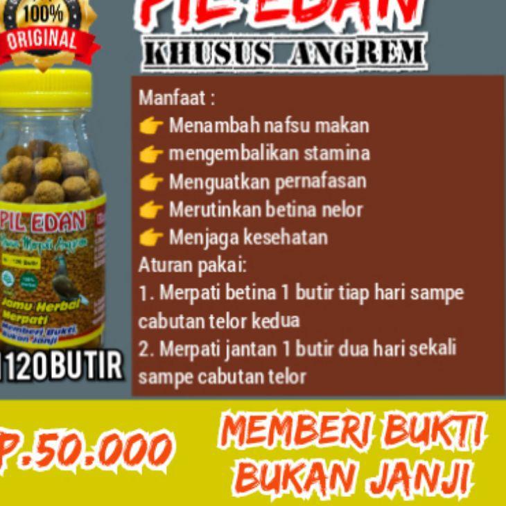 

PIL EDAN JAMU MERPATI KHUSUS ANGREM MERPATI ANGGREM Hot