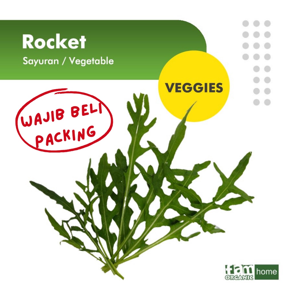 

Rocket / Wild Arugula Salad Sayur Segar Fresh Vegetable FAM Organik
