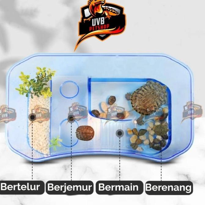MURAH Kandang kura kura Vivarium Turtle Brazil Nomoypet