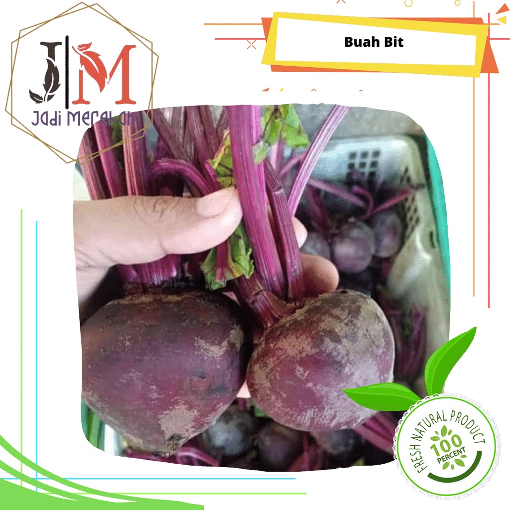 

[JM SoFresh] - Buah Bit Segar / Ubi Bit / Beet Root Fresh