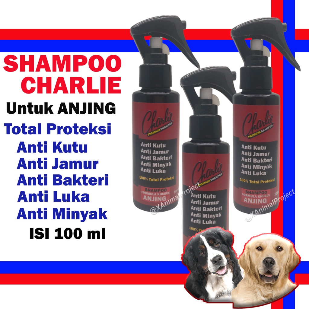 SHAMPOO CHARLIE Shampoo Anjing Anti Kutu Jamur Bakteri Minyak Luka Shampoo Charlie