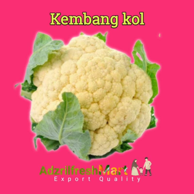 

KEMBANG KOL SIZE 400-500GRAM PER PCS