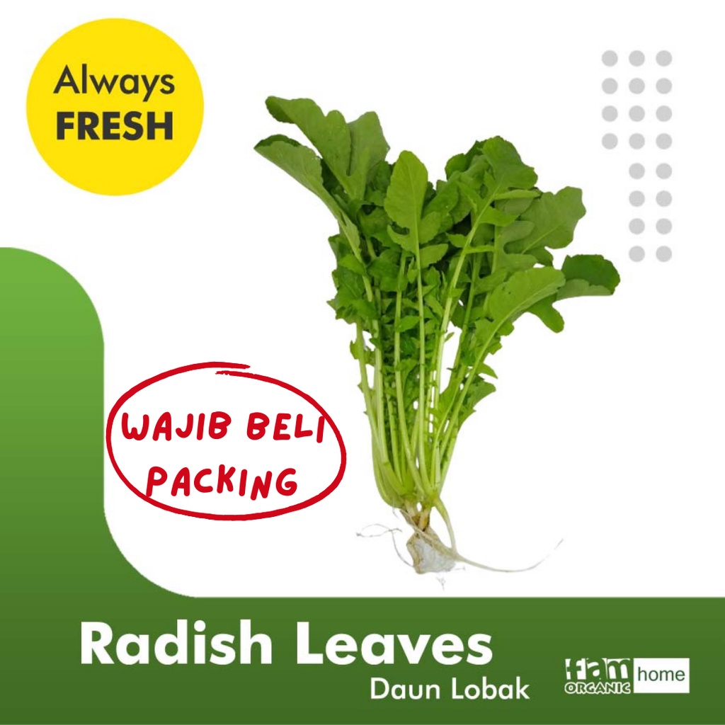 

Daun Lobak Radish Leaf Sayur Segar Fresh Vegetable FAM Organik