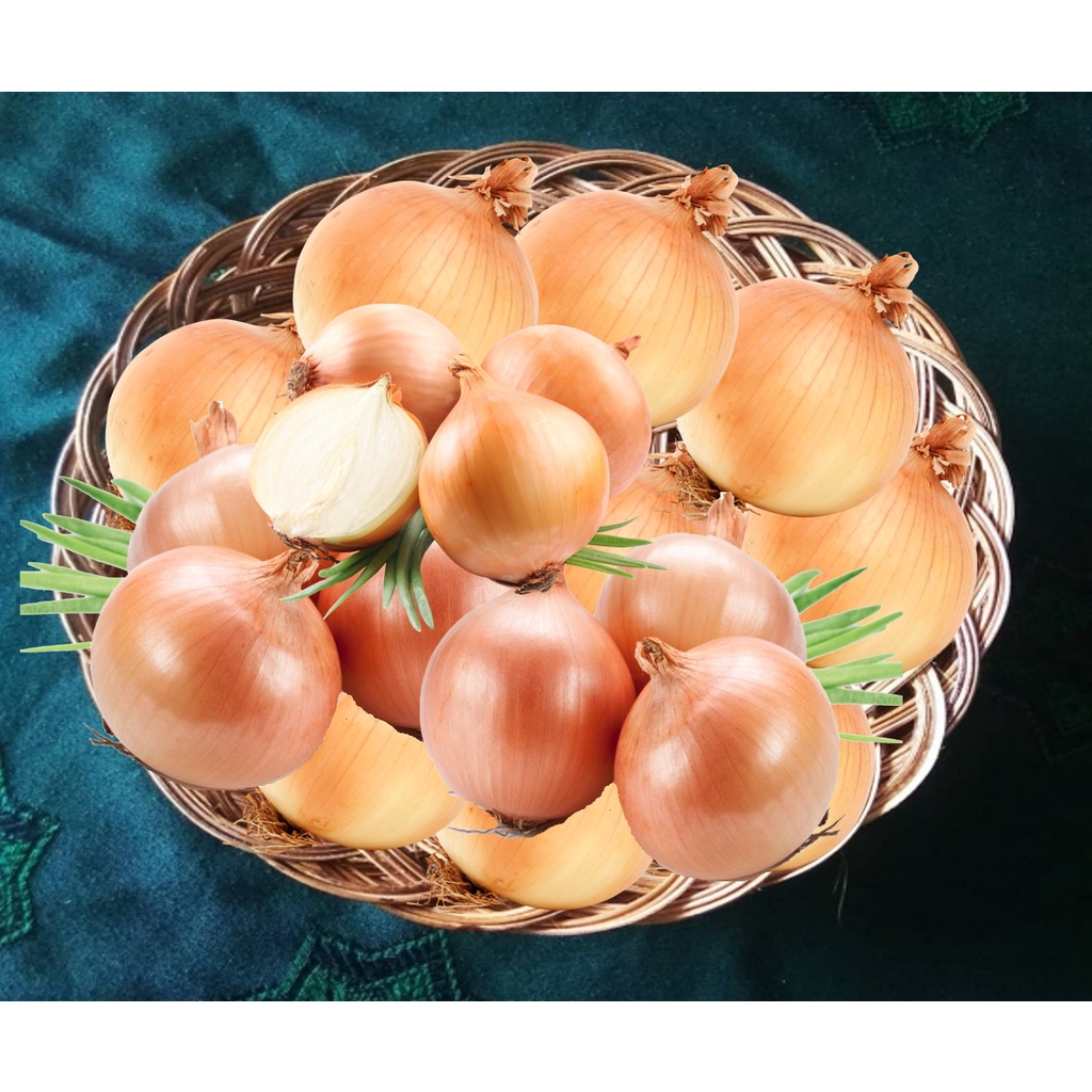 

Bawang Bombai Kiloan Bumbu Pelengkap Masakan