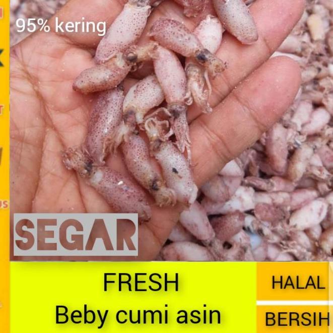 

➥ Cumi beby 0,5cm - 2cm / Baby cumi asin 1kg/ Bahan sambal cumi ❅
