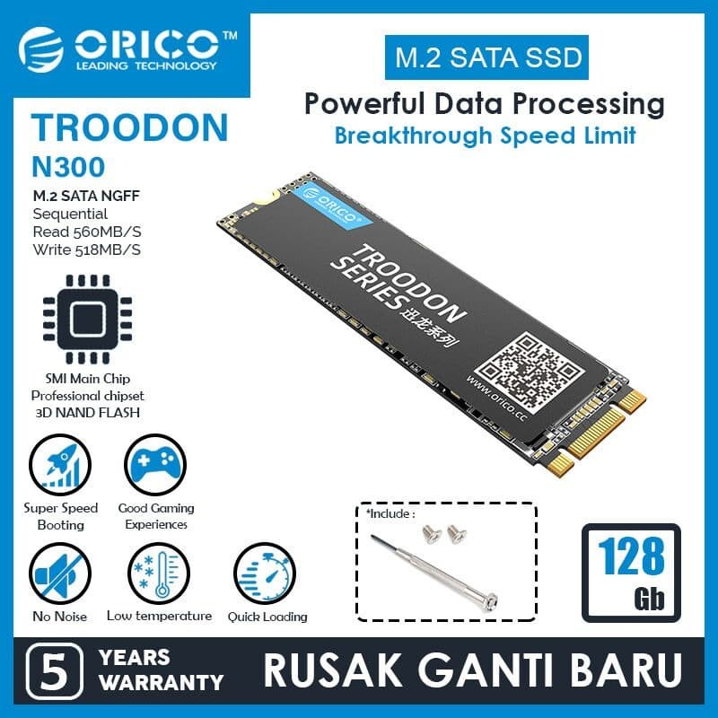 ORICO 128GB SSD M.2 SATA 2280 TROODON SERIES
