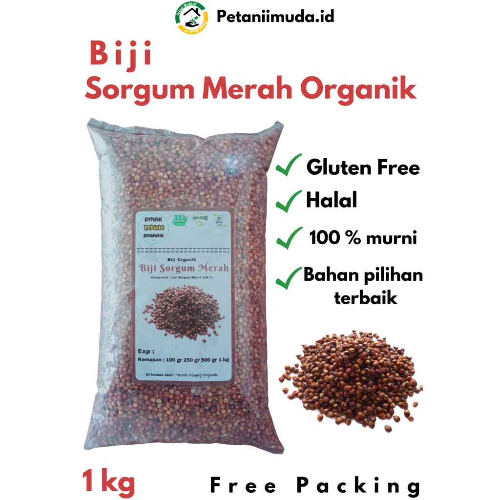 Biji Sorgum Merah kemasan 1 KG/Beras Sorgum Merah kemasan 1 KG/Benih Sorgum Merah kemasan 1 KG/Bibit