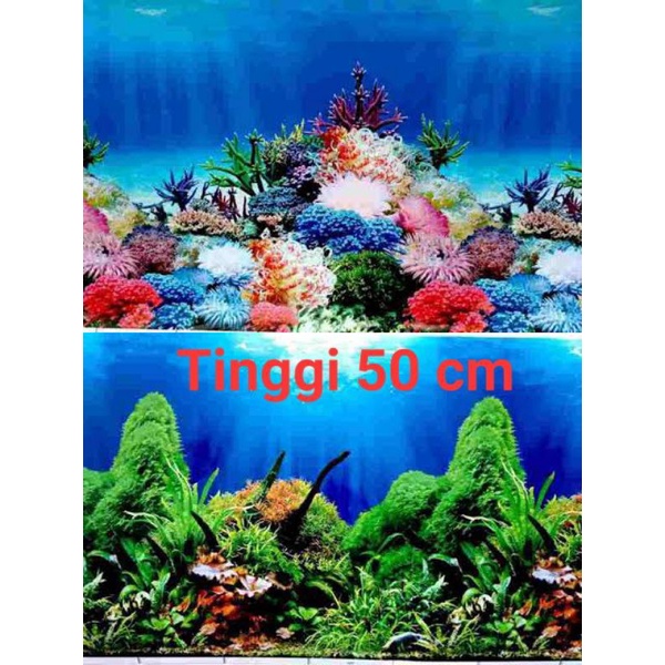 Background aquarium latar belakang akuarium walpaper aquarium tinggi 50 cm
