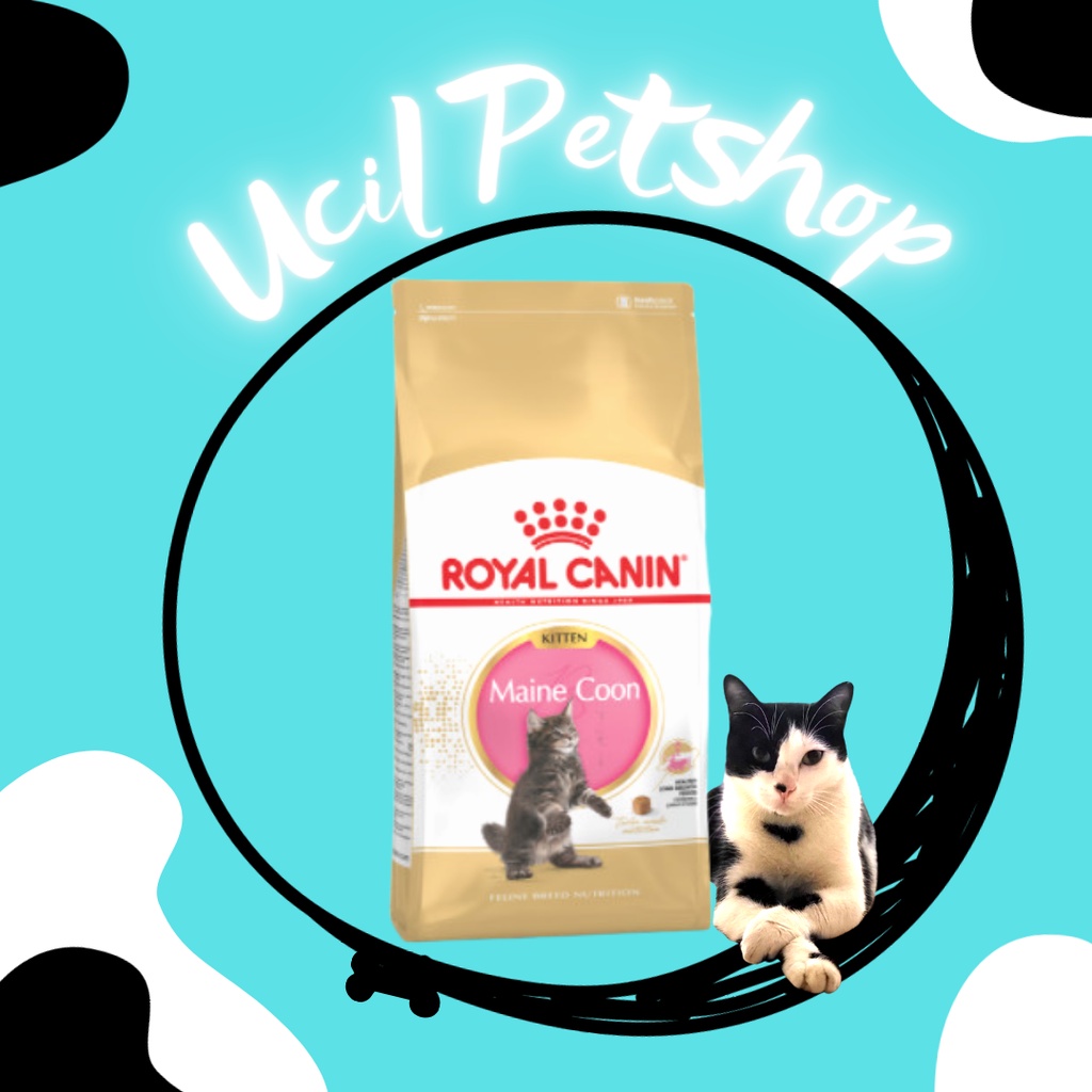 Royal Canin Kitten Mainecoon Dry Food (1)