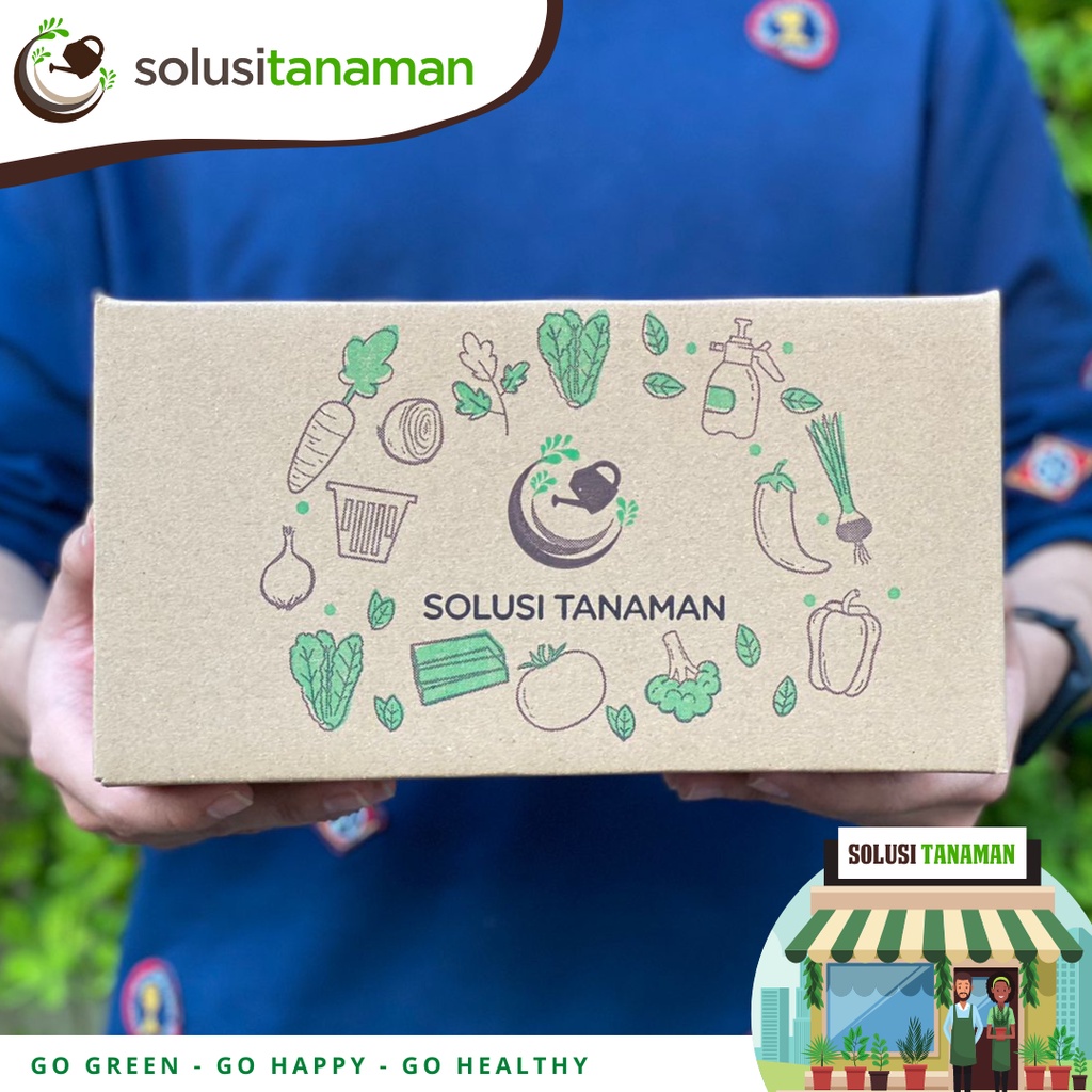 ID BENIH SEMANGKA RED NEW DRAGON F1 20GR BIBIT SEMANGKA TA FUNG BENIH SEMANGKA TAFUNG WATERMELON