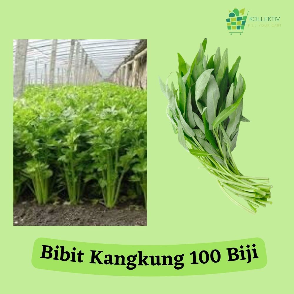 Bibit Kangkung / Benih Sayuran