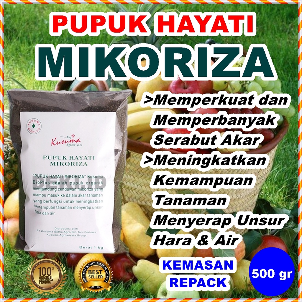 Mikoriza 500 Gram Kusuma Bioplus Kemasan Repack Pupuk Hayati Organik Jamur Penguat Akar Tanaman Buah