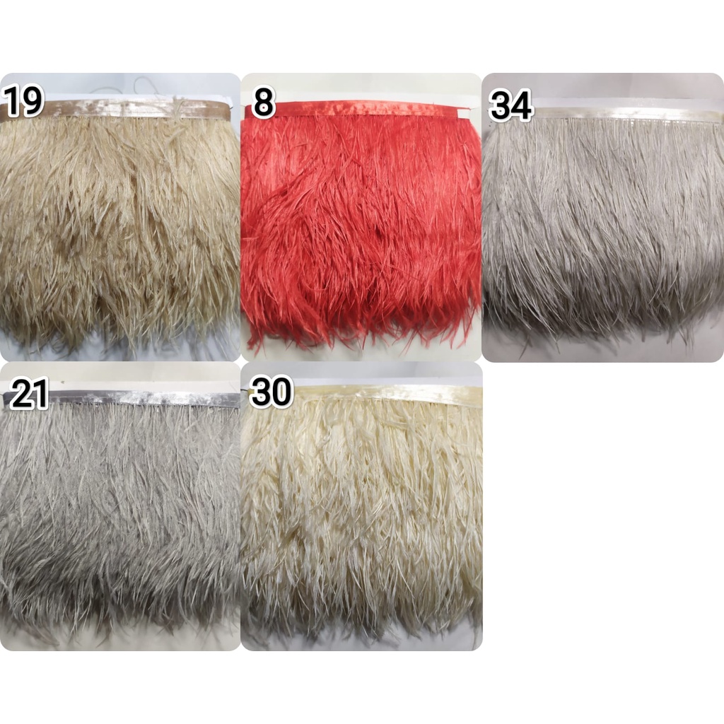 Renda Bulu Ostrich Feather pendek per 50 cm