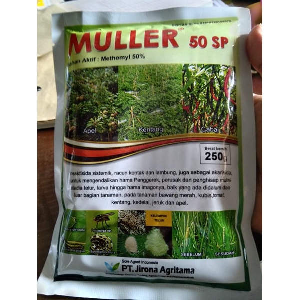 Insektisida kontak Muller 50SP 250 g