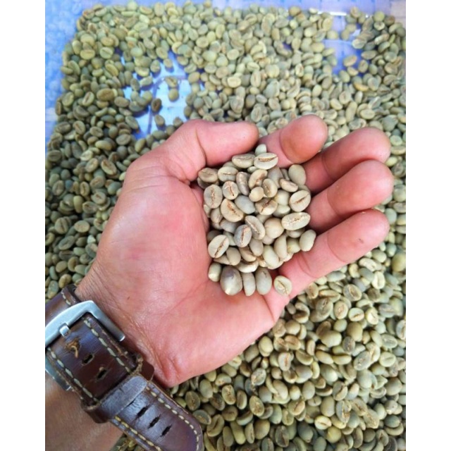 

Green Bean (Robusta) Petik Merah
