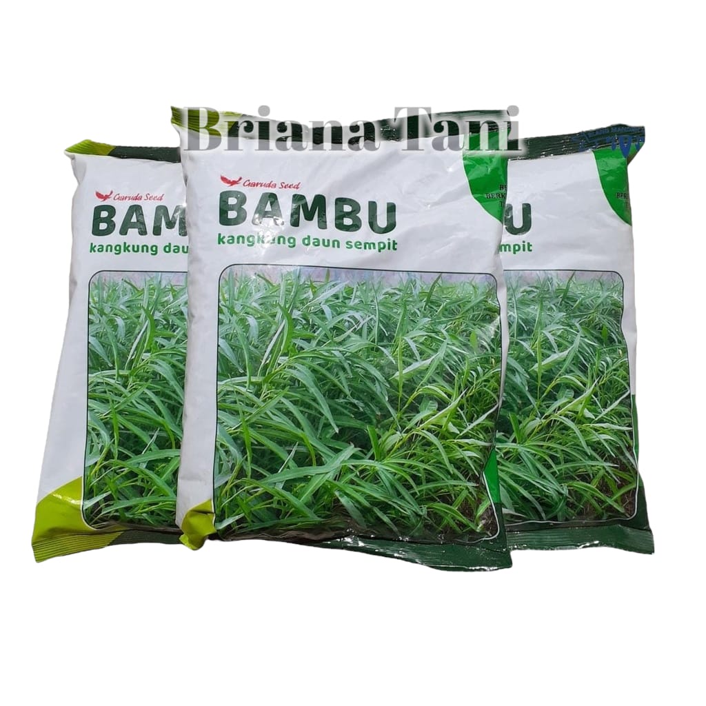 Benih Kangkung Daun Sempit Bambu Ukuran 1 Kg bibit kangkung daun sempit bambu 1kg