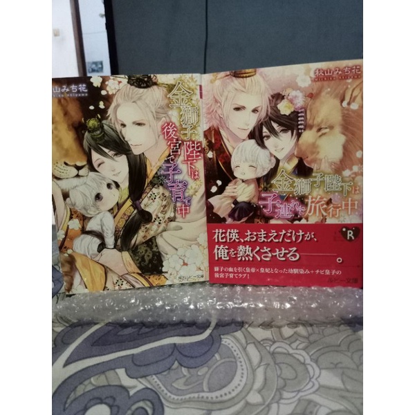 Light Novel BL  Impor Bahasa Jepang Kinjishi Kotei wa Kokyu de Kosodate