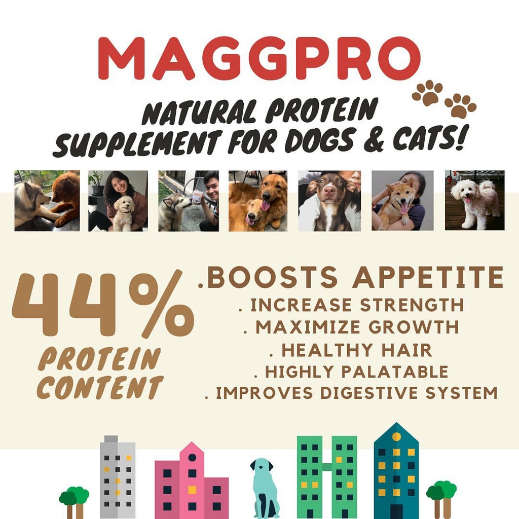 MAGGPRO Suplemen Protein Untuk Kucing 250gr - Penambah Nafsu Makan