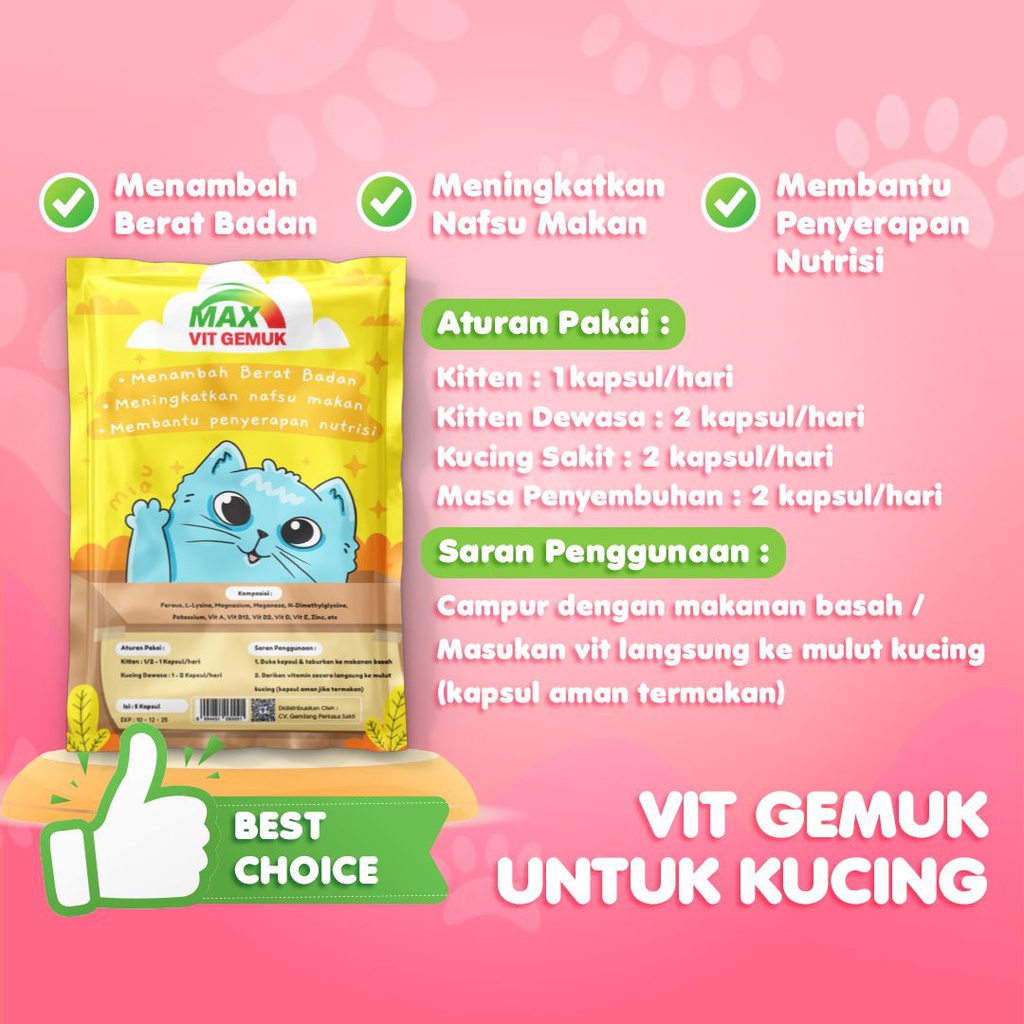 MAX VITAMIN GEMUK suplemen kucing vitamin penggemuk kucing vitamin nafsu makan kucing max vit gemuk bigbody cat