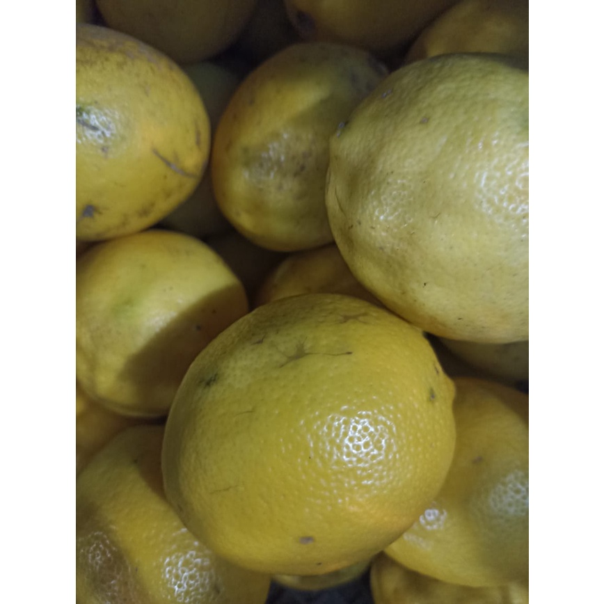 

LEMON CALIFORNIA IMPORT FRESH 1KG