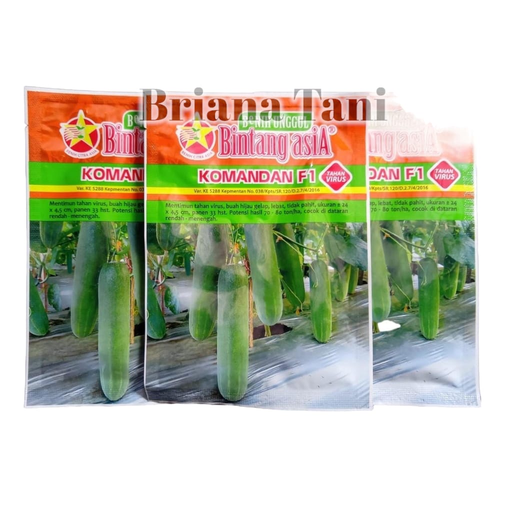 Benih Bibit  TIMUN KOMANDAN F1 20gram Bintang Asia