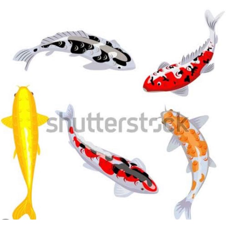 gambar baground dekor gambar shutterstock gambar pemandangan gambar wallcover wallcover dinding bagr