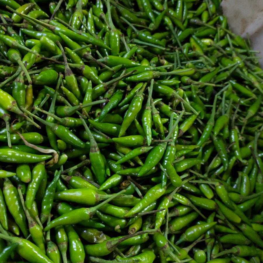 

Cabai Cabe Rawit Hijau 500 gr