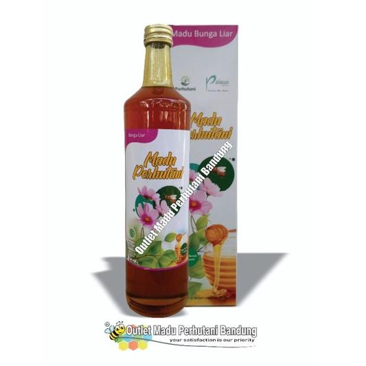 

gjo53 Madu Perhutani Bunga Liar 650 ml ..,,.,,.,