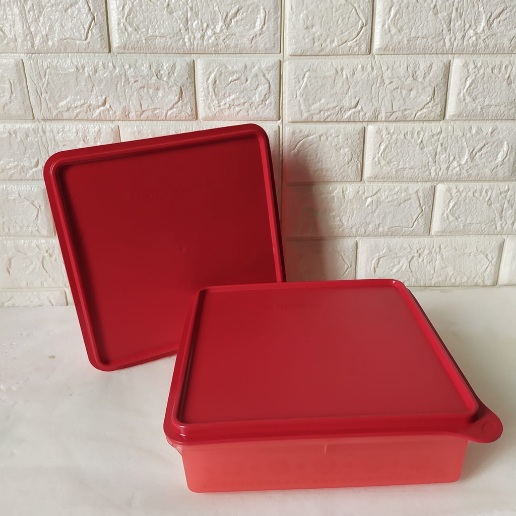 Kotak Cemilan/Makanan Serbaguna Tupperware - Mosaic Snack Store Square