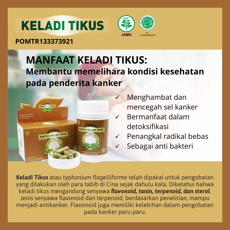 Kapsul Keladi Tikus Ekstrak Keladi Tikus Obat Herbal Anti Kanker Anti Alergi Membantu Memelihara Kesehatan Penderita Kanker - Naturafit BPOM